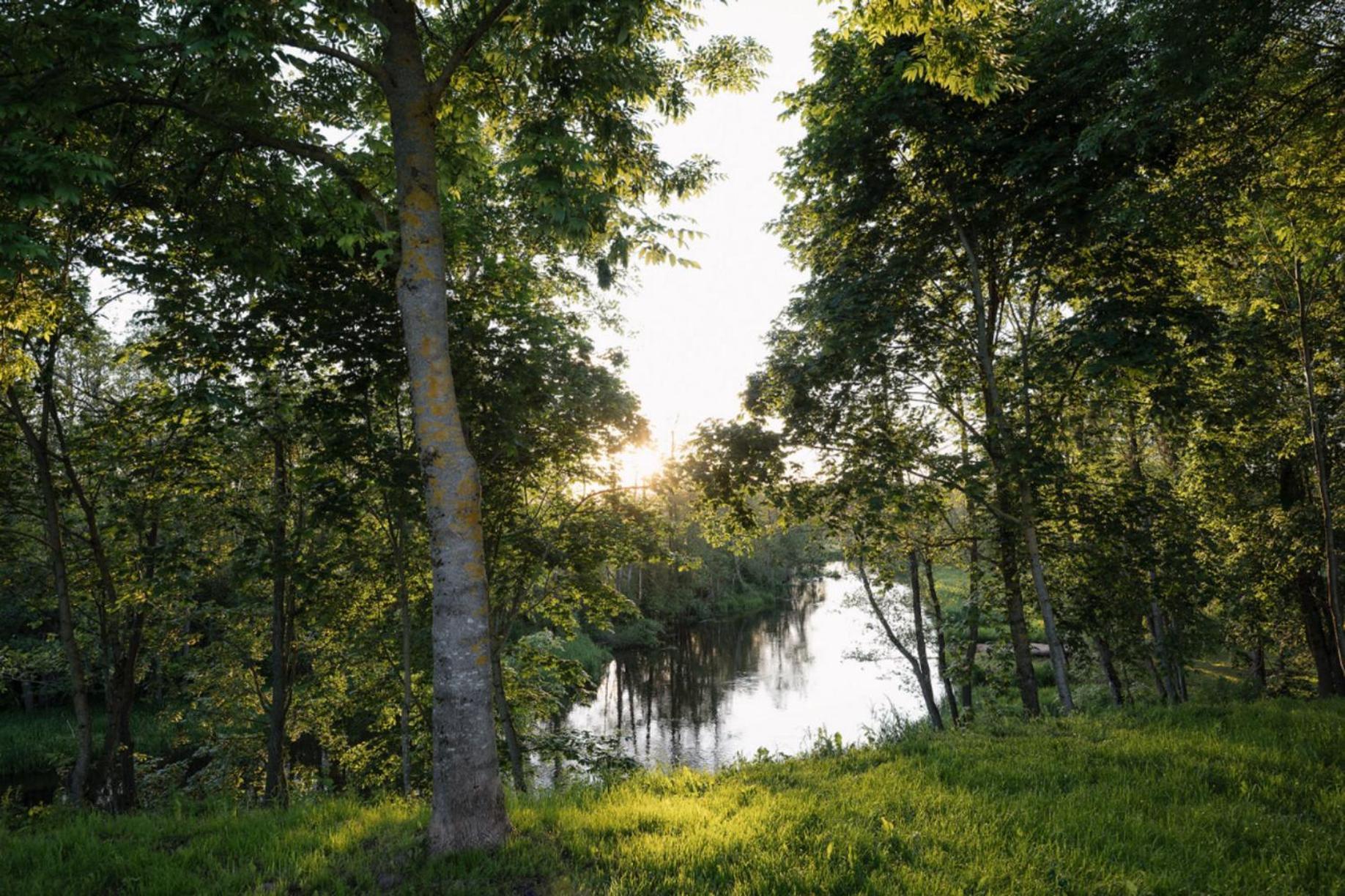 Degesiai Rest Green المظهر الخارجي الصورة